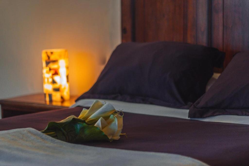 Cortijo La Casona & Bungalow Al Pie De La Montana San Cristobal de las Casas Ngoại thất bức ảnh